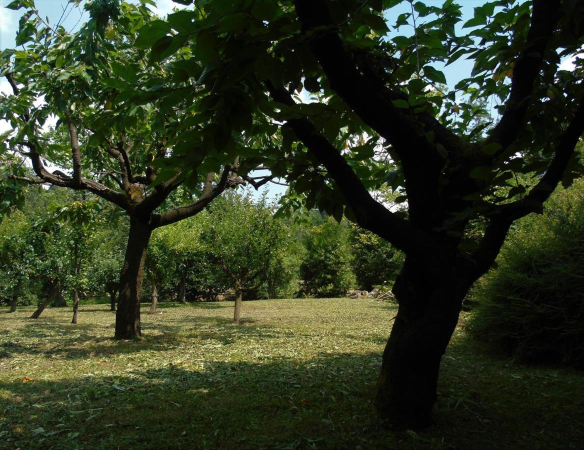 Cascina Cavalli Astino Bérgamo Exterior foto